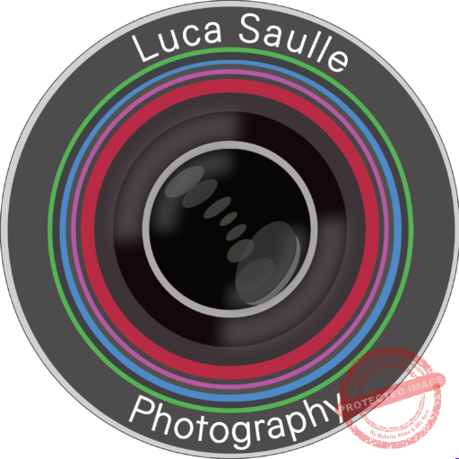 Luca Saulle