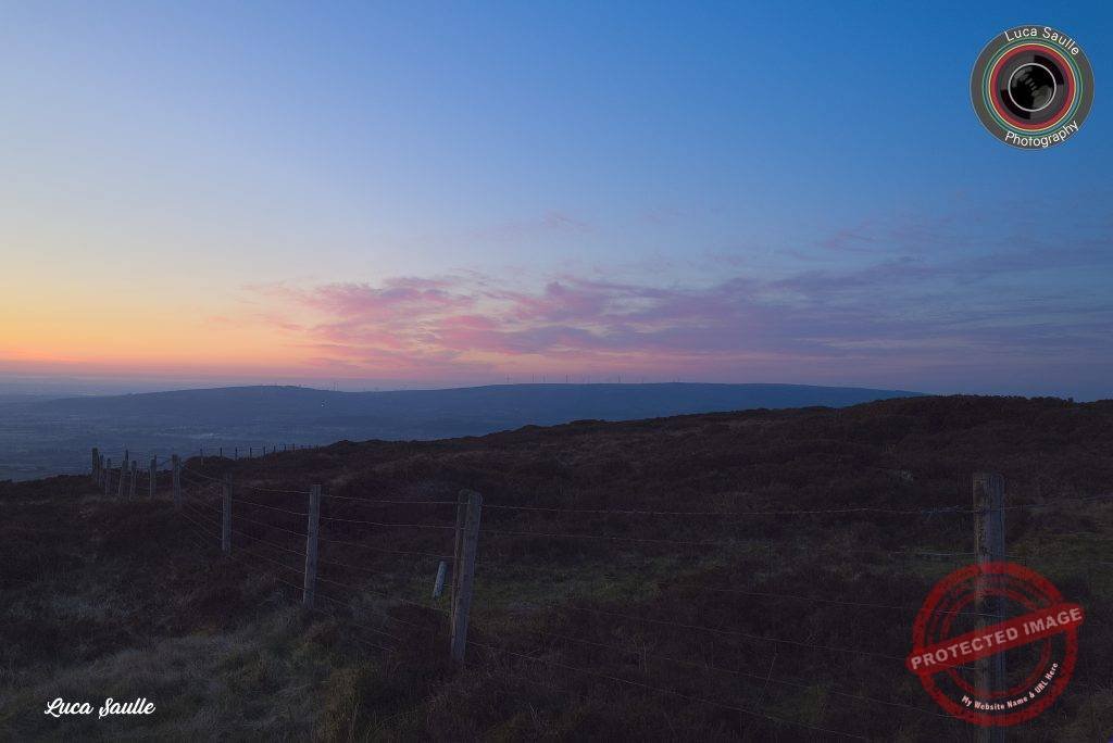 Sunrise Spring Wonder